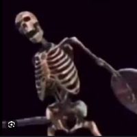 mikebo801