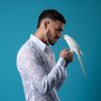 carecantinasyfarolito