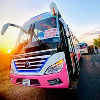 roadbuses255