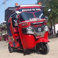 gallo3886