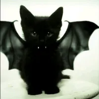 Mio Mao la la la la la