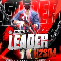 leaderh2so4