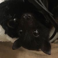 THEY DELETED MY POST