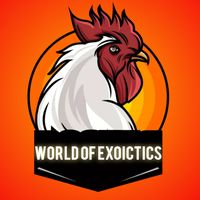 world.of.exoctics