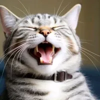 original sound - biiviian