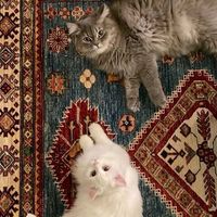 از دریا نترسانم