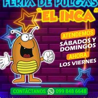 feriadepulgaselinca