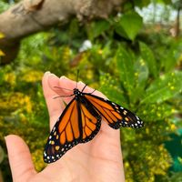 perksofbeingadeadpoet