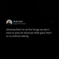 leilahusseinn1