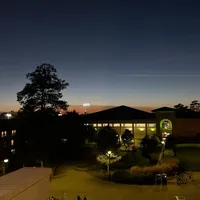 original sound - lyr1cs.text