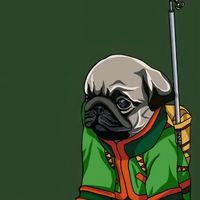 pug.fr