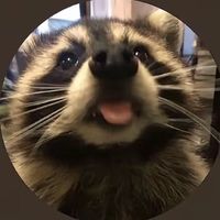 UR GAY IF YOU USE THIS SOUND