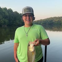 countrynoah1