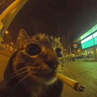 оригинальный звук