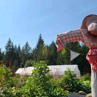 wildhavenfarm