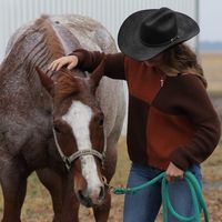 ur_local_horse_trainer5