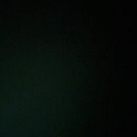_darlene.c