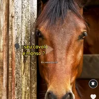 original sound - tenoro18