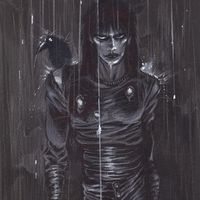 shadow.17me