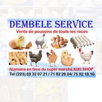 dembele_service
