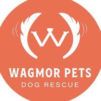wagmorpets