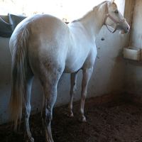 meu.piaui