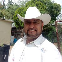 pedroemtzfloresgmail.com