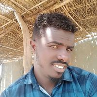 user86095739775735