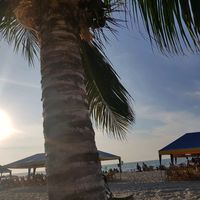 daya_126