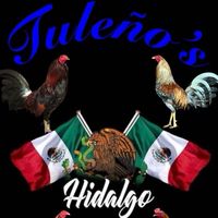 elgallerodelaschevys