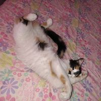 luchiii20132009