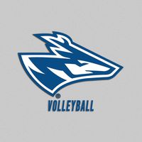 unkvolleyball
