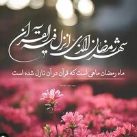 ma__sa686