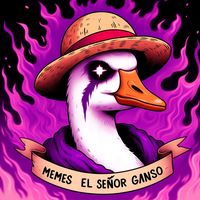 memes.senor.ganso