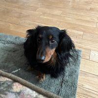 tractorpulling1234567