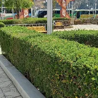 original sound - yuly_jr0