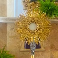 iracemaarredondotorres