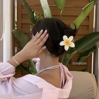 sofia.estudos