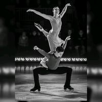 elartedepatinar