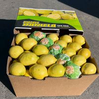 limonsanjuan