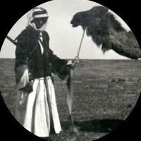 الصوت الأصلي