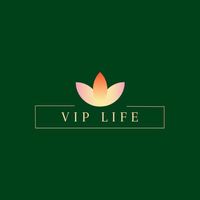 highvip_life
