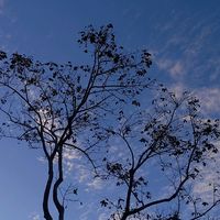 vivacomalegria_
