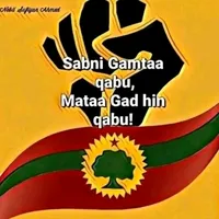 original sound - usejal0