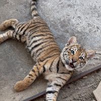 miguelguzmanlopez19701