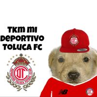 fan_toluca_