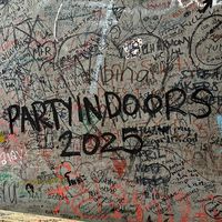 partyindoorss
