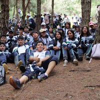 promo2026.agro