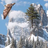 original sound - kurdinox