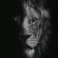 original sound - alsultan933